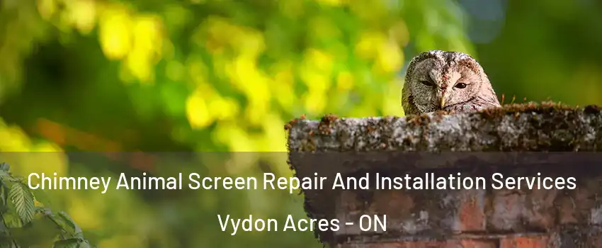  Chimney Animal Screen Repair And Installation Services Vydon Acres - ON