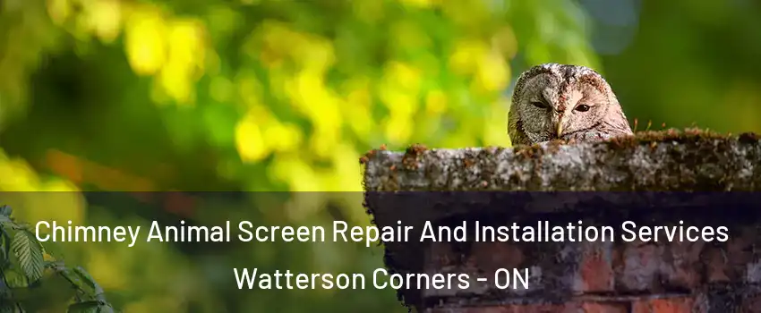  Chimney Animal Screen Repair And Installation Services Watterson Corners - ON