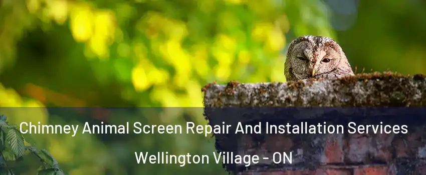  Chimney Animal Screen Repair And Installation Services Wellington Village - ON