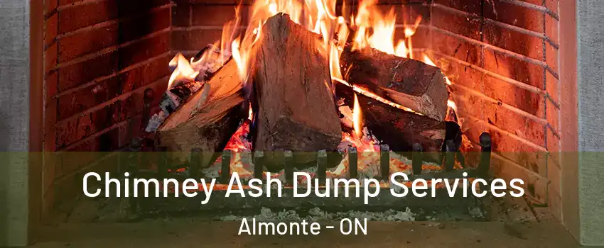  Chimney Ash Dump Services Almonte - ON