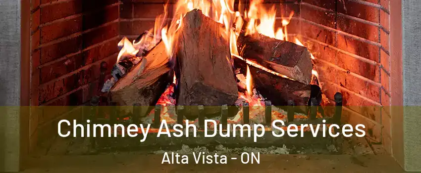  Chimney Ash Dump Services Alta Vista - ON