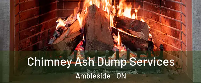  Chimney Ash Dump Services Ambleside - ON