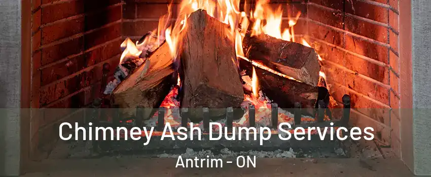  Chimney Ash Dump Services Antrim - ON