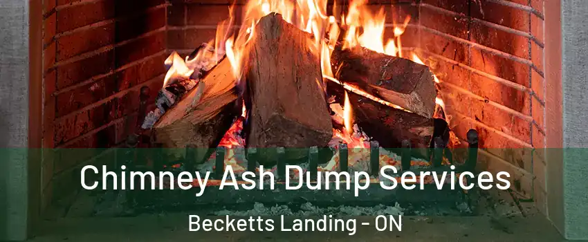  Chimney Ash Dump Services Becketts Landing - ON