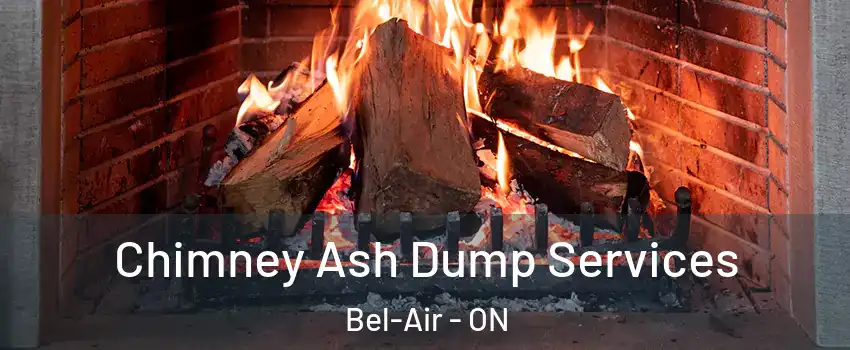  Chimney Ash Dump Services Bel-Air - ON