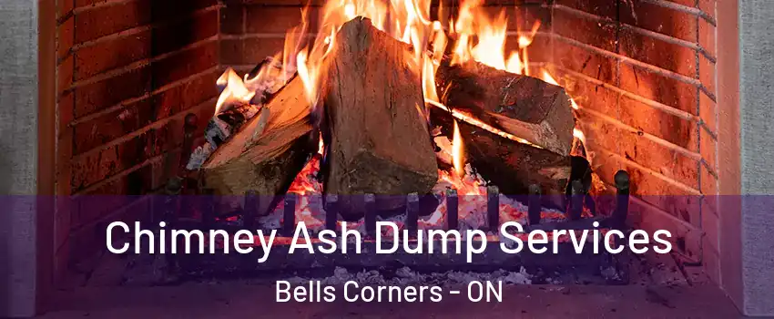  Chimney Ash Dump Services Bells Corners - ON