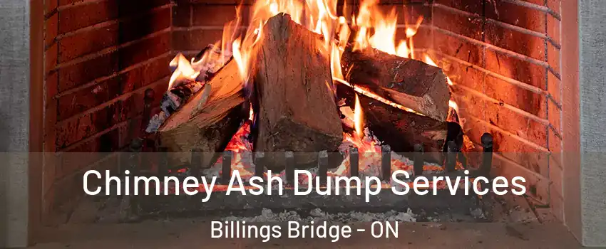  Chimney Ash Dump Services Billings Bridge - ON