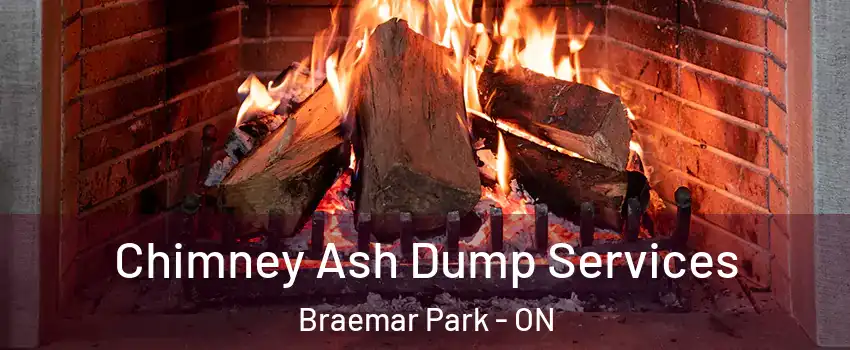  Chimney Ash Dump Services Braemar Park - ON