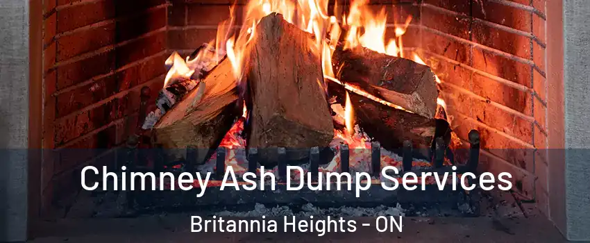  Chimney Ash Dump Services Britannia Heights - ON