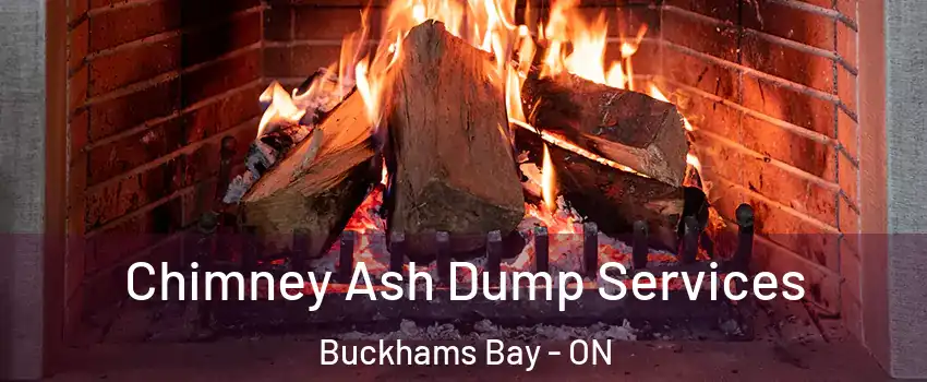  Chimney Ash Dump Services Buckhams Bay - ON