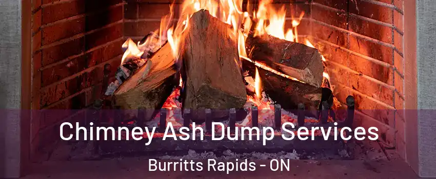  Chimney Ash Dump Services Burritts Rapids - ON