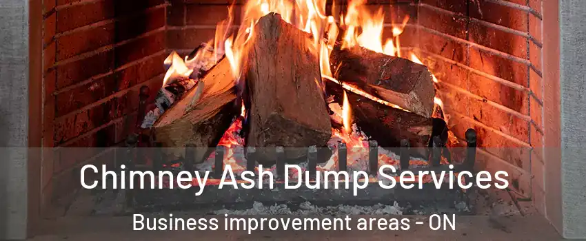  Chimney Ash Dump Services Business improvement areas - ON