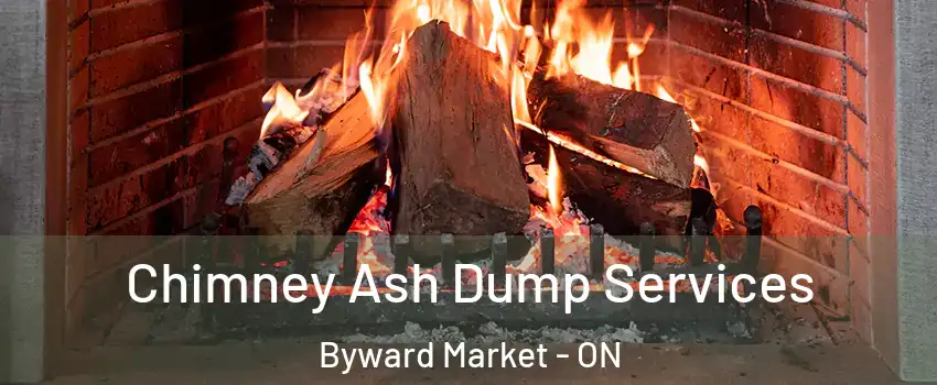  Chimney Ash Dump Services Byward Market - ON