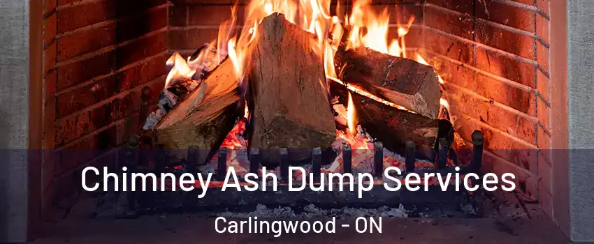  Chimney Ash Dump Services Carlingwood - ON