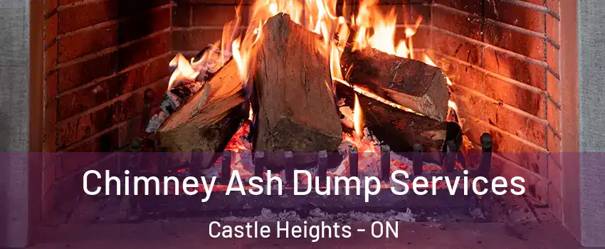  Chimney Ash Dump Services Castle Heights - ON