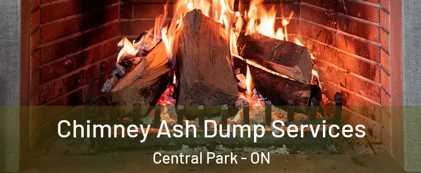  Chimney Ash Dump Services Central Park - ON