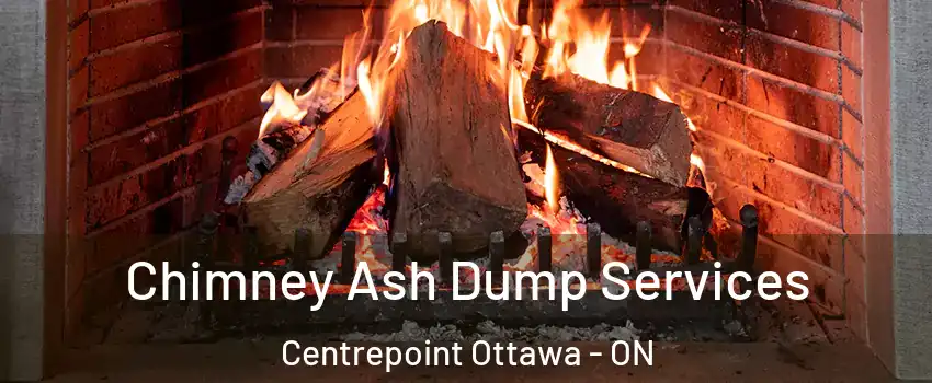  Chimney Ash Dump Services Centrepoint Ottawa - ON