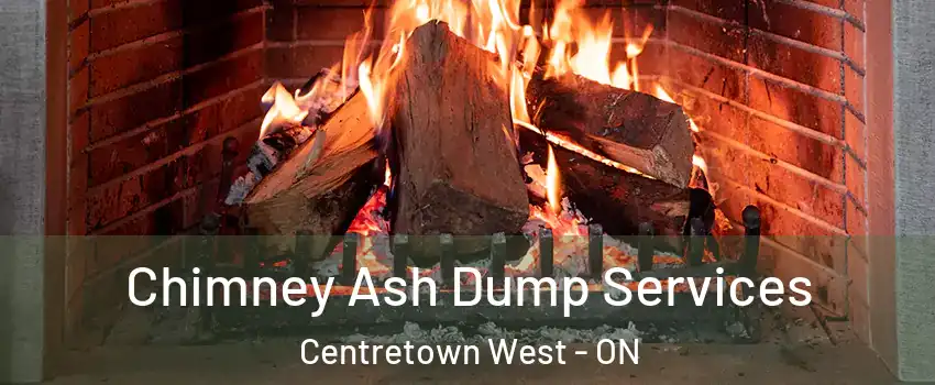  Chimney Ash Dump Services Centretown West - ON