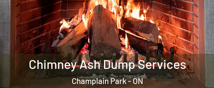  Chimney Ash Dump Services Champlain Park - ON