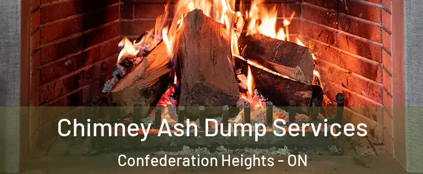  Chimney Ash Dump Services Confederation Heights - ON