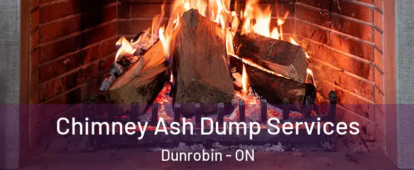  Chimney Ash Dump Services Dunrobin - ON