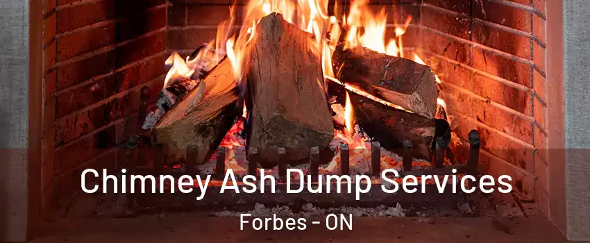  Chimney Ash Dump Services Forbes - ON