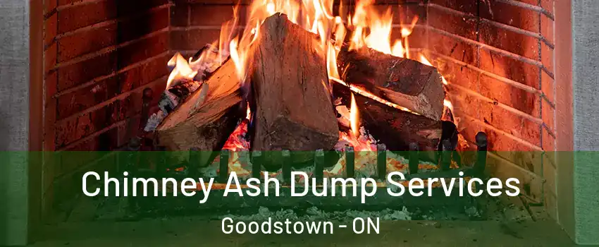  Chimney Ash Dump Services Goodstown - ON