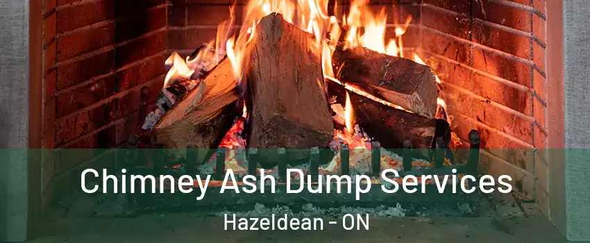  Chimney Ash Dump Services Hazeldean - ON