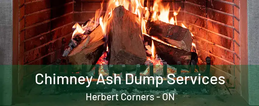  Chimney Ash Dump Services Herbert Corners - ON