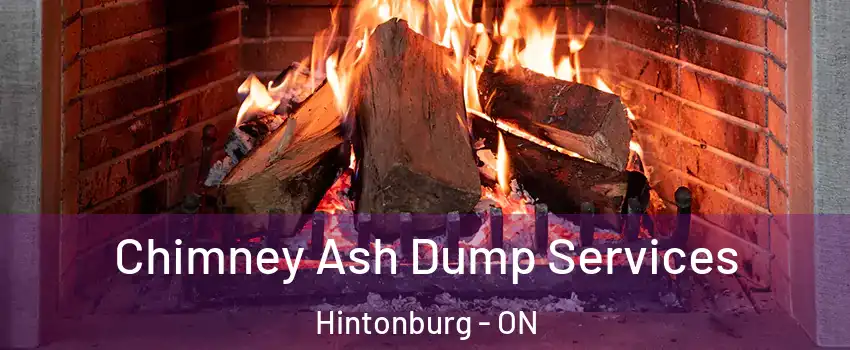  Chimney Ash Dump Services Hintonburg - ON