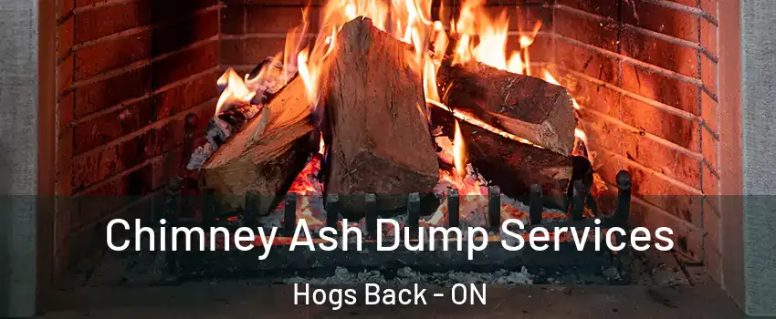  Chimney Ash Dump Services Hogs Back - ON