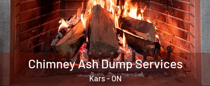  Chimney Ash Dump Services Kars - ON