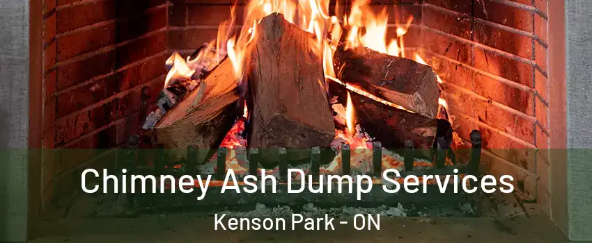  Chimney Ash Dump Services Kenson Park - ON