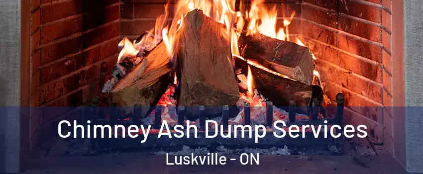  Chimney Ash Dump Services Luskville - ON