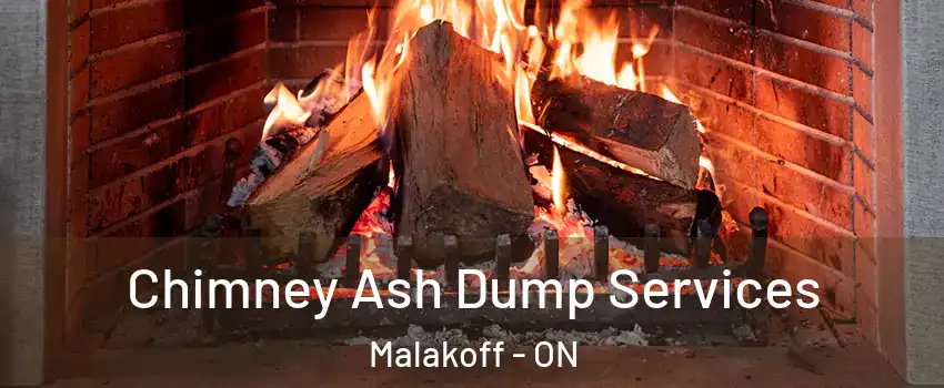  Chimney Ash Dump Services Malakoff - ON