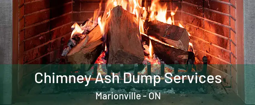  Chimney Ash Dump Services Marionville - ON