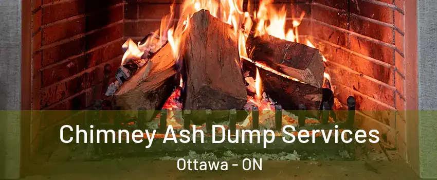  Chimney Ash Dump Services Ottawa - ON