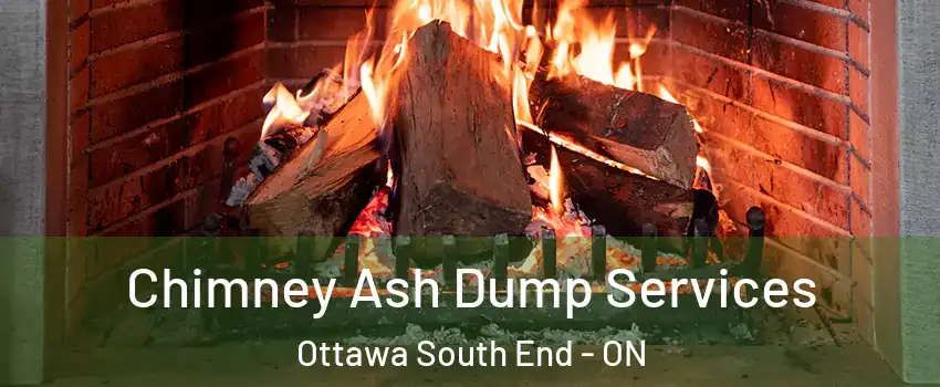  Chimney Ash Dump Services Ottawa South End - ON