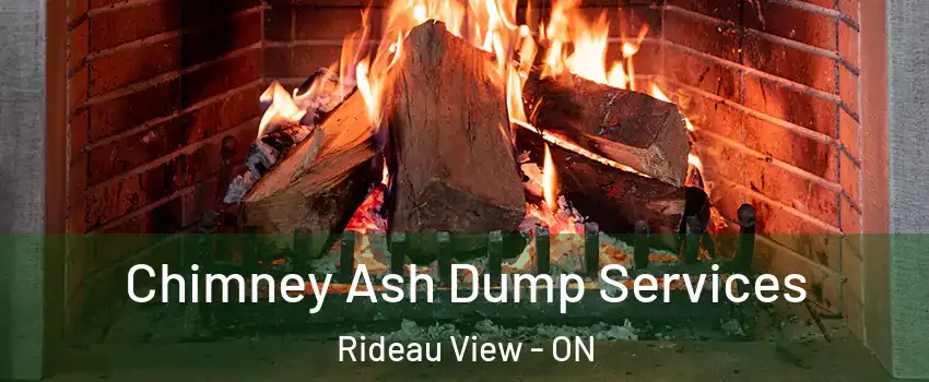  Chimney Ash Dump Services Rideau View - ON