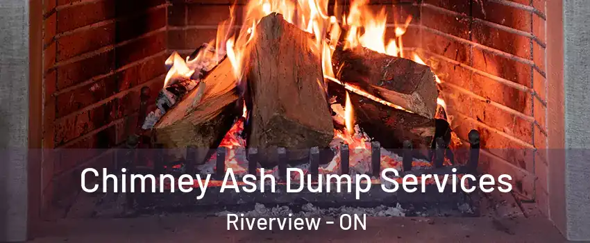  Chimney Ash Dump Services Riverview - ON