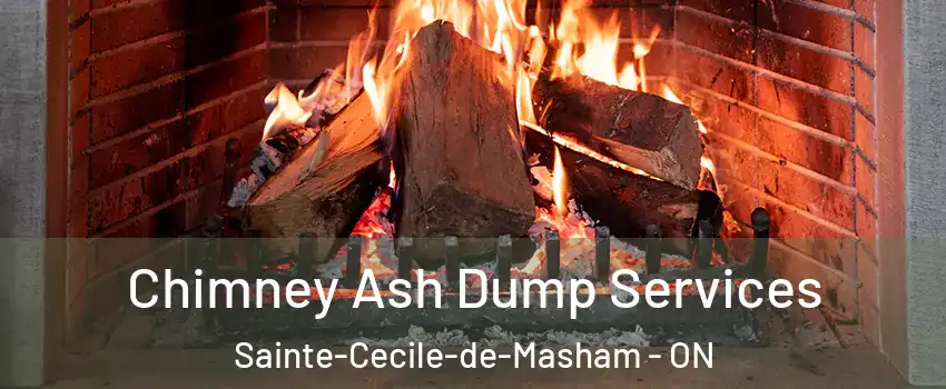  Chimney Ash Dump Services Sainte-Cecile-de-Masham - ON