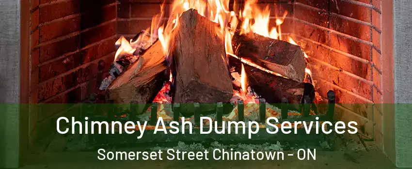  Chimney Ash Dump Services Somerset Street Chinatown - ON