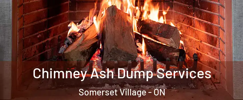  Chimney Ash Dump Services Somerset Village - ON