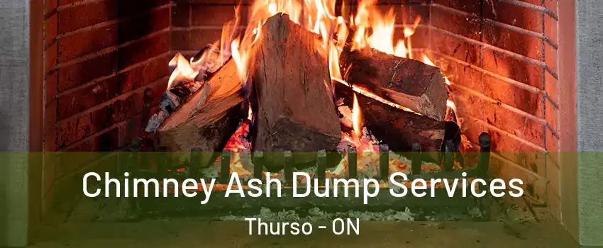  Chimney Ash Dump Services Thurso - ON