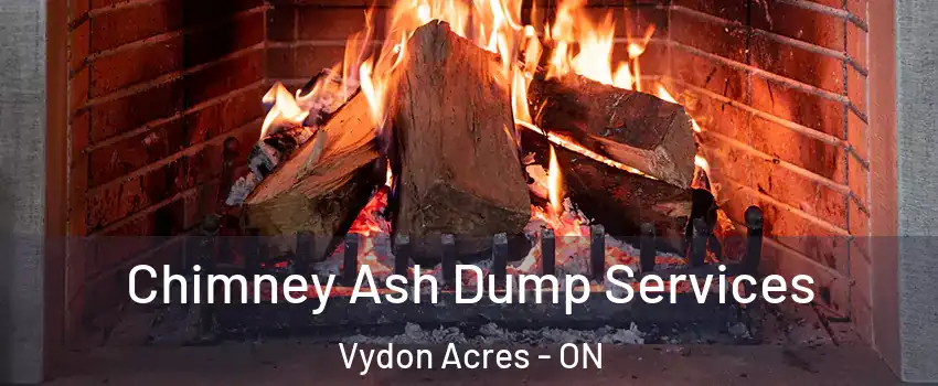  Chimney Ash Dump Services Vydon Acres - ON