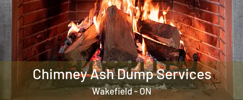  Chimney Ash Dump Services Wakefield - ON