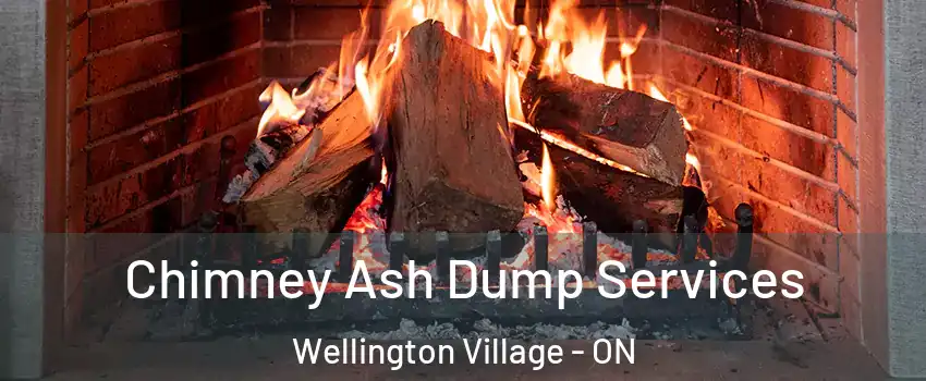  Chimney Ash Dump Services Wellington Village - ON