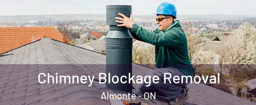  Chimney Blockage Removal Almonte - ON