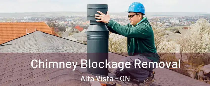  Chimney Blockage Removal Alta Vista - ON