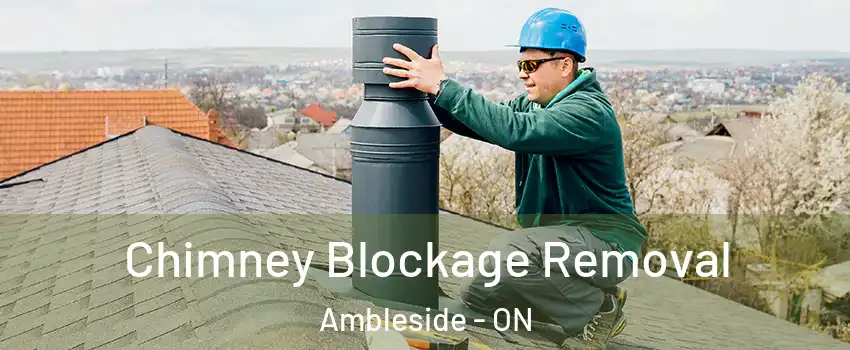  Chimney Blockage Removal Ambleside - ON